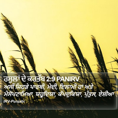 ਰਸੂਲਾਂ ਦੇ ਕਰਤੱਬ 2:9 PANIRV Bible Verse Image