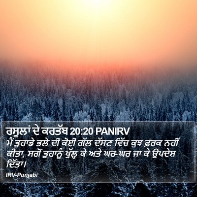 ਰਸੂਲਾਂ ਦੇ ਕਰਤੱਬ 20:20 PANIRV Bible Verse Image