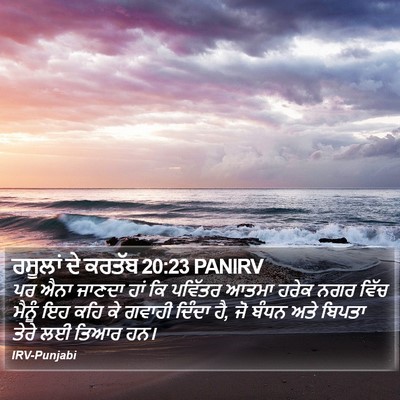 ਰਸੂਲਾਂ ਦੇ ਕਰਤੱਬ 20:23 PANIRV Bible Verse Image