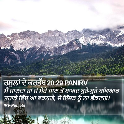 ਰਸੂਲਾਂ ਦੇ ਕਰਤੱਬ 20:29 PANIRV Bible Verse Image
