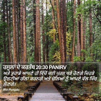 ਰਸੂਲਾਂ ਦੇ ਕਰਤੱਬ 20:30 PANIRV Bible Verse Image