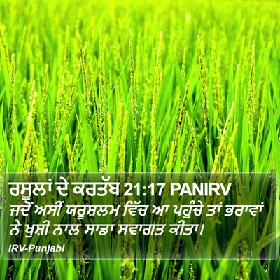 ਰਸੂਲਾਂ ਦੇ ਕਰਤੱਬ 21:17 PANIRV Bible Verse Image