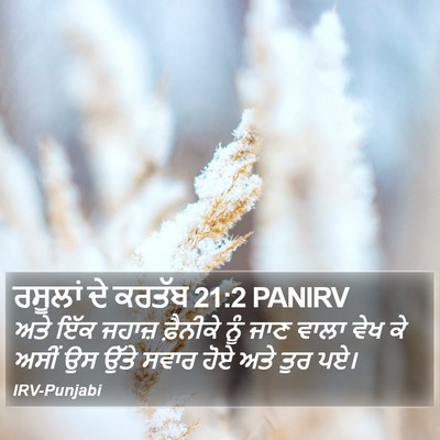 ਰਸੂਲਾਂ ਦੇ ਕਰਤੱਬ 21:2 PANIRV Bible Verse Image