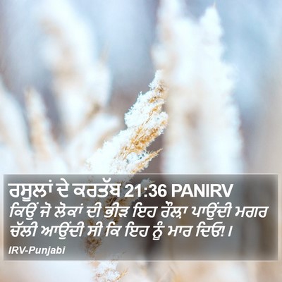ਰਸੂਲਾਂ ਦੇ ਕਰਤੱਬ 21:36 PANIRV Bible Verse Image