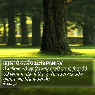 ਰਸੂਲਾਂ ਦੇ ਕਰਤੱਬ 22:19 PANIRV Bible Verse Image