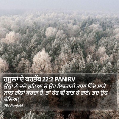 ਰਸੂਲਾਂ ਦੇ ਕਰਤੱਬ 22:2 PANIRV Bible Verse Image
