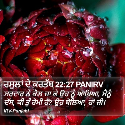 ਰਸੂਲਾਂ ਦੇ ਕਰਤੱਬ 22:27 PANIRV Bible Verse Image