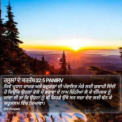 ਰਸੂਲਾਂ ਦੇ ਕਰਤੱਬ 22:5 PANIRV Bible Verse Image