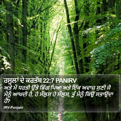 ਰਸੂਲਾਂ ਦੇ ਕਰਤੱਬ 22:7 PANIRV Bible Verse Image