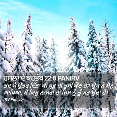 ਰਸੂਲਾਂ ਦੇ ਕਰਤੱਬ 22:8 PANIRV Bible Verse Image