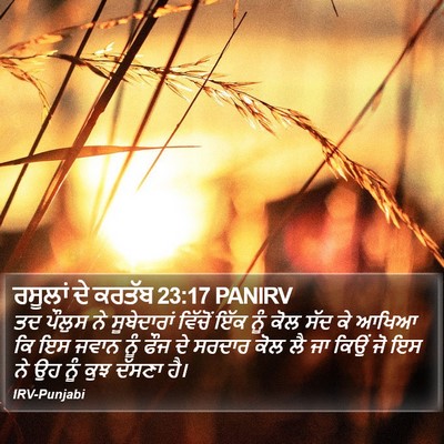 ਰਸੂਲਾਂ ਦੇ ਕਰਤੱਬ 23:17 PANIRV Bible Verse Image