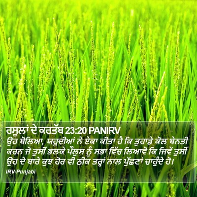 ਰਸੂਲਾਂ ਦੇ ਕਰਤੱਬ 23:20 PANIRV Bible Verse Image