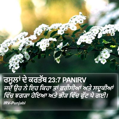 ਰਸੂਲਾਂ ਦੇ ਕਰਤੱਬ 23:7 PANIRV Bible Verse Image