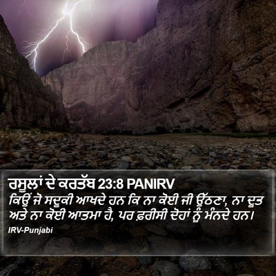 ਰਸੂਲਾਂ ਦੇ ਕਰਤੱਬ 23:8 PANIRV Bible Verse Image