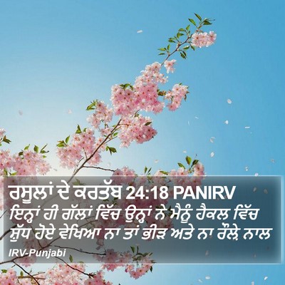 ਰਸੂਲਾਂ ਦੇ ਕਰਤੱਬ 24:18 PANIRV Bible Verse Image