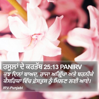 ਰਸੂਲਾਂ ਦੇ ਕਰਤੱਬ 25:13 PANIRV Bible Verse Image