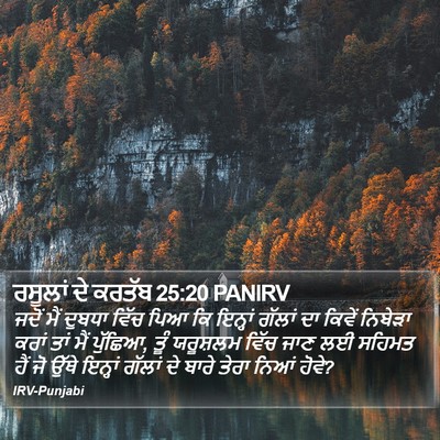 ਰਸੂਲਾਂ ਦੇ ਕਰਤੱਬ 25:20 PANIRV Bible Verse Image