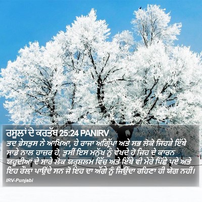 ਰਸੂਲਾਂ ਦੇ ਕਰਤੱਬ 25:24 PANIRV Bible Verse Image