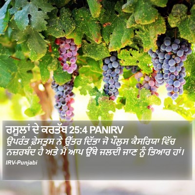 ਰਸੂਲਾਂ ਦੇ ਕਰਤੱਬ 25:4 PANIRV Bible Verse Image