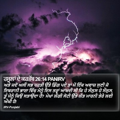 ਰਸੂਲਾਂ ਦੇ ਕਰਤੱਬ 26:14 PANIRV Bible Verse Image