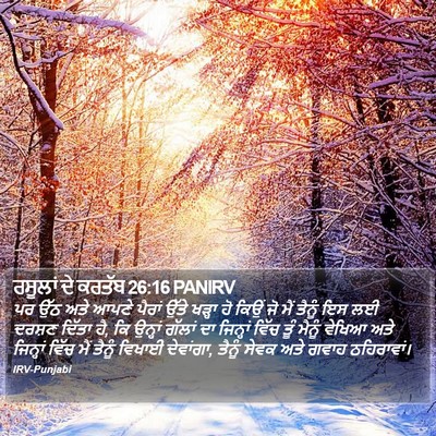 ਰਸੂਲਾਂ ਦੇ ਕਰਤੱਬ 26:16 PANIRV Bible Verse Image