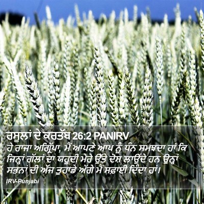 ਰਸੂਲਾਂ ਦੇ ਕਰਤੱਬ 26:2 PANIRV Bible Verse Image
