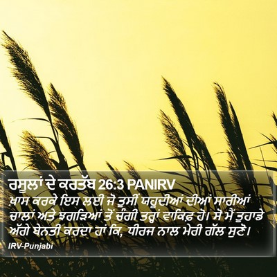 ਰਸੂਲਾਂ ਦੇ ਕਰਤੱਬ 26:3 PANIRV Bible Verse Image