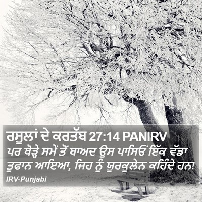 ਰਸੂਲਾਂ ਦੇ ਕਰਤੱਬ 27:14 PANIRV Bible Verse Image