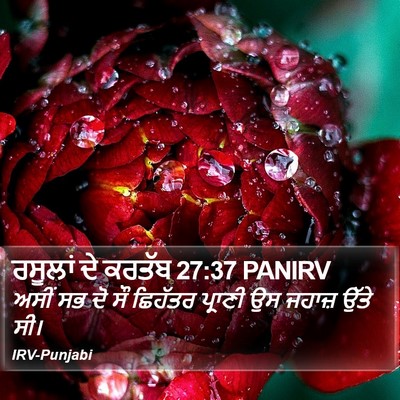 ਰਸੂਲਾਂ ਦੇ ਕਰਤੱਬ 27:37 PANIRV Bible Verse Image