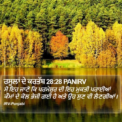 ਰਸੂਲਾਂ ਦੇ ਕਰਤੱਬ 28:28 PANIRV Bible Verse Image