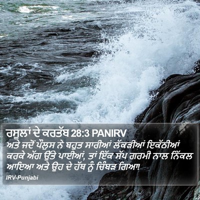 ਰਸੂਲਾਂ ਦੇ ਕਰਤੱਬ 28:3 PANIRV Bible Verse Image