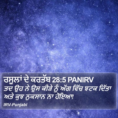 ਰਸੂਲਾਂ ਦੇ ਕਰਤੱਬ 28:5 PANIRV Bible Verse Image