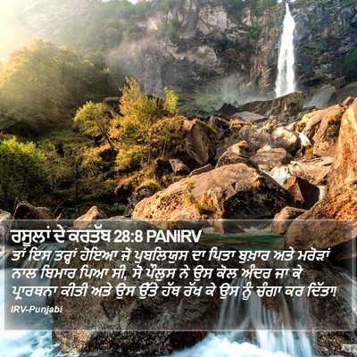 ਰਸੂਲਾਂ ਦੇ ਕਰਤੱਬ 28:8 PANIRV Bible Verse Image