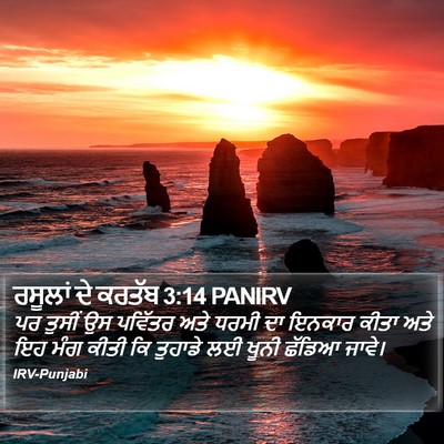 ਰਸੂਲਾਂ ਦੇ ਕਰਤੱਬ 3:14 PANIRV Bible Verse Image