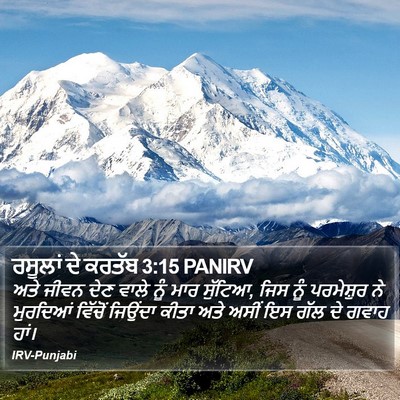 ਰਸੂਲਾਂ ਦੇ ਕਰਤੱਬ 3:15 PANIRV Bible Verse Image