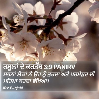 ਰਸੂਲਾਂ ਦੇ ਕਰਤੱਬ 3:9 PANIRV Bible Verse Image
