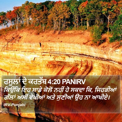 ਰਸੂਲਾਂ ਦੇ ਕਰਤੱਬ 4:20 PANIRV Bible Verse Image