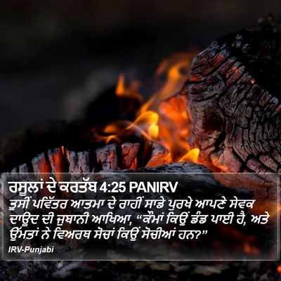 ਰਸੂਲਾਂ ਦੇ ਕਰਤੱਬ 4:25 PANIRV Bible Verse Image