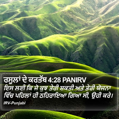 ਰਸੂਲਾਂ ਦੇ ਕਰਤੱਬ 4:28 PANIRV Bible Verse Image