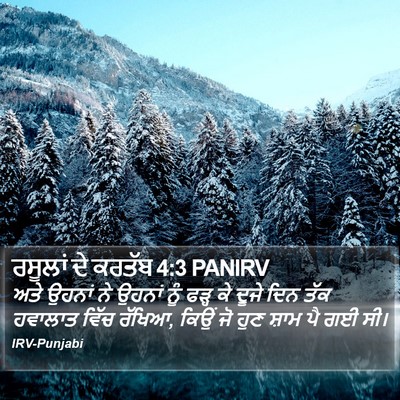 ਰਸੂਲਾਂ ਦੇ ਕਰਤੱਬ 4:3 PANIRV Bible Verse Image