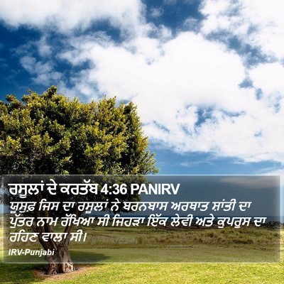 ਰਸੂਲਾਂ ਦੇ ਕਰਤੱਬ 4:36 PANIRV Bible Verse Image
