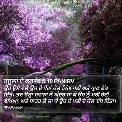 ਰਸੂਲਾਂ ਦੇ ਕਰਤੱਬ 5:10 PANIRV Bible Verse Image