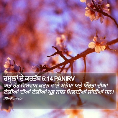 ਰਸੂਲਾਂ ਦੇ ਕਰਤੱਬ 5:14 PANIRV Bible Verse Image