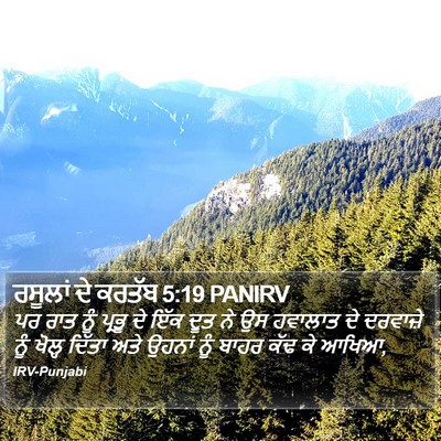 ਰਸੂਲਾਂ ਦੇ ਕਰਤੱਬ 5:19 PANIRV Bible Verse Image