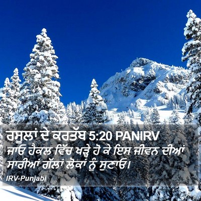 ਰਸੂਲਾਂ ਦੇ ਕਰਤੱਬ 5:20 PANIRV Bible Verse Image