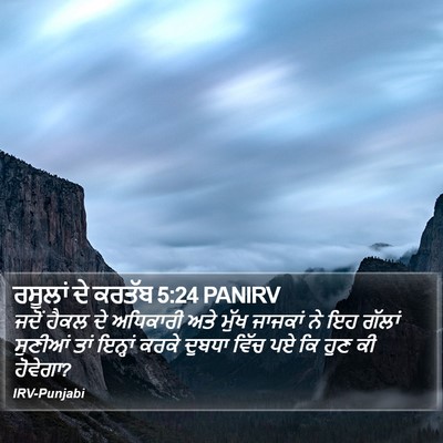 ਰਸੂਲਾਂ ਦੇ ਕਰਤੱਬ 5:24 PANIRV Bible Verse Image