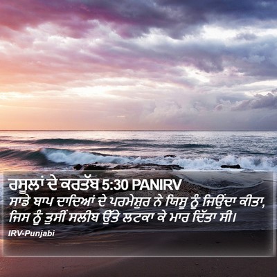 ਰਸੂਲਾਂ ਦੇ ਕਰਤੱਬ 5:30 PANIRV Bible Verse Image