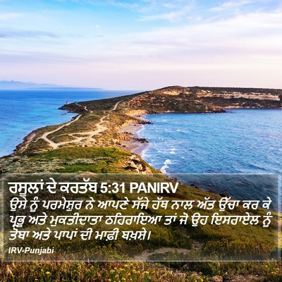 ਰਸੂਲਾਂ ਦੇ ਕਰਤੱਬ 5:31 PANIRV Bible Verse Image