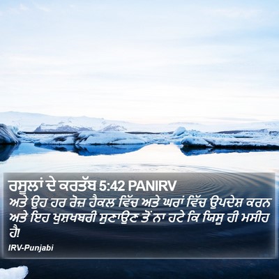 ਰਸੂਲਾਂ ਦੇ ਕਰਤੱਬ 5:42 PANIRV Bible Verse Image