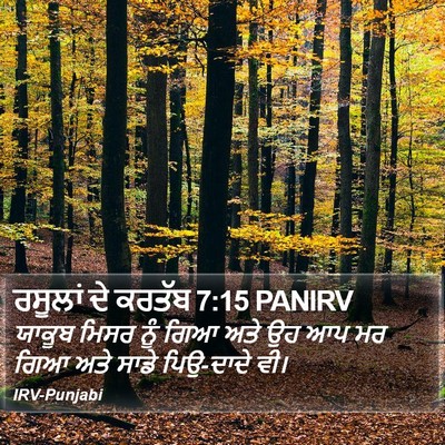 ਰਸੂਲਾਂ ਦੇ ਕਰਤੱਬ 7:15 PANIRV Bible Verse Image